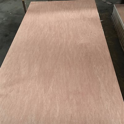 Bintangor plywood